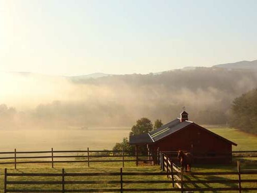 Specials, Yellow Farmhouse Inn